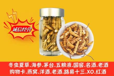 廊坊安次区回收散虫草