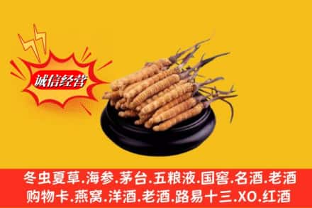 廊坊安次区名酒回收冬虫夏草.jpg